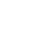 DEKKHA Consulting logo